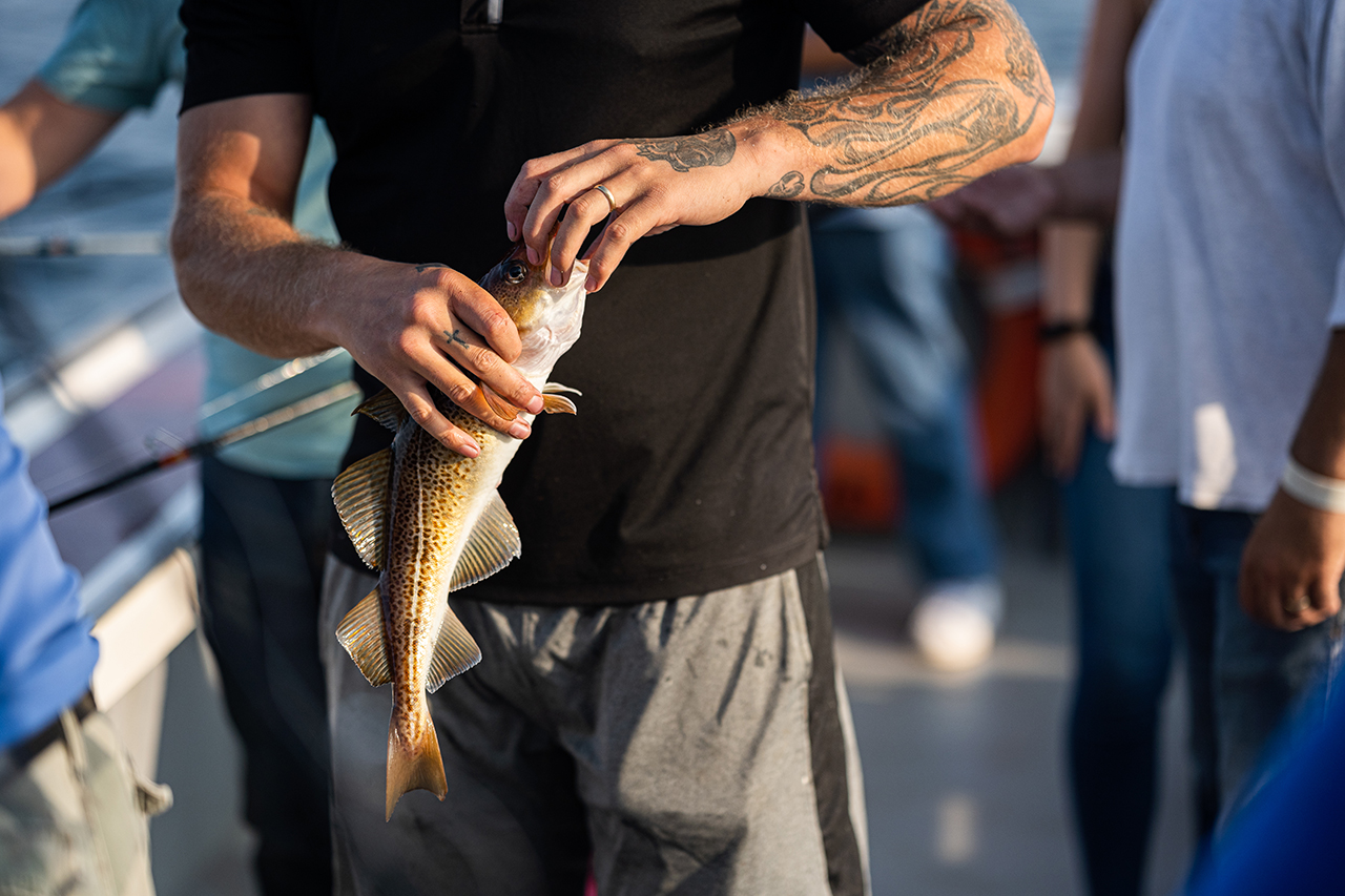 Pêche au homard et festin — Joey's Deep Sea Fishing – Joey's Deep Sea Fishing